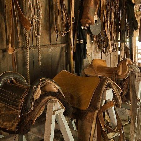 Pousada Chacara Das Roseiras Bagé Dış mekan fotoğraf