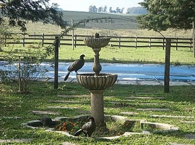 Pousada Chacara Das Roseiras Bagé Dış mekan fotoğraf