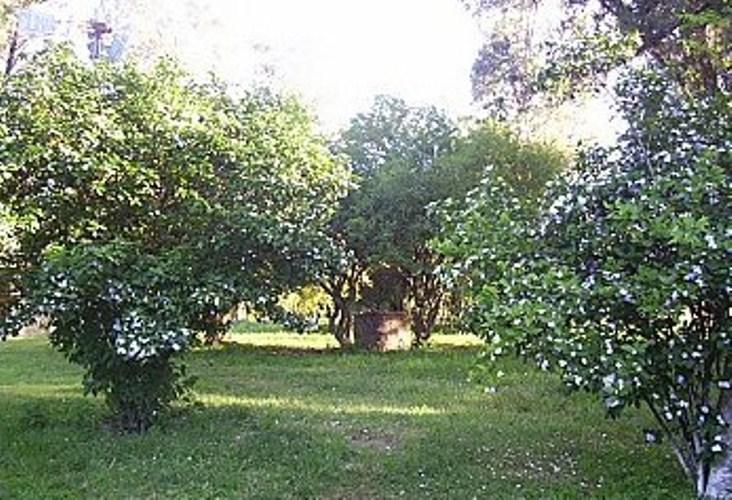 Pousada Chacara Das Roseiras Bagé Dış mekan fotoğraf